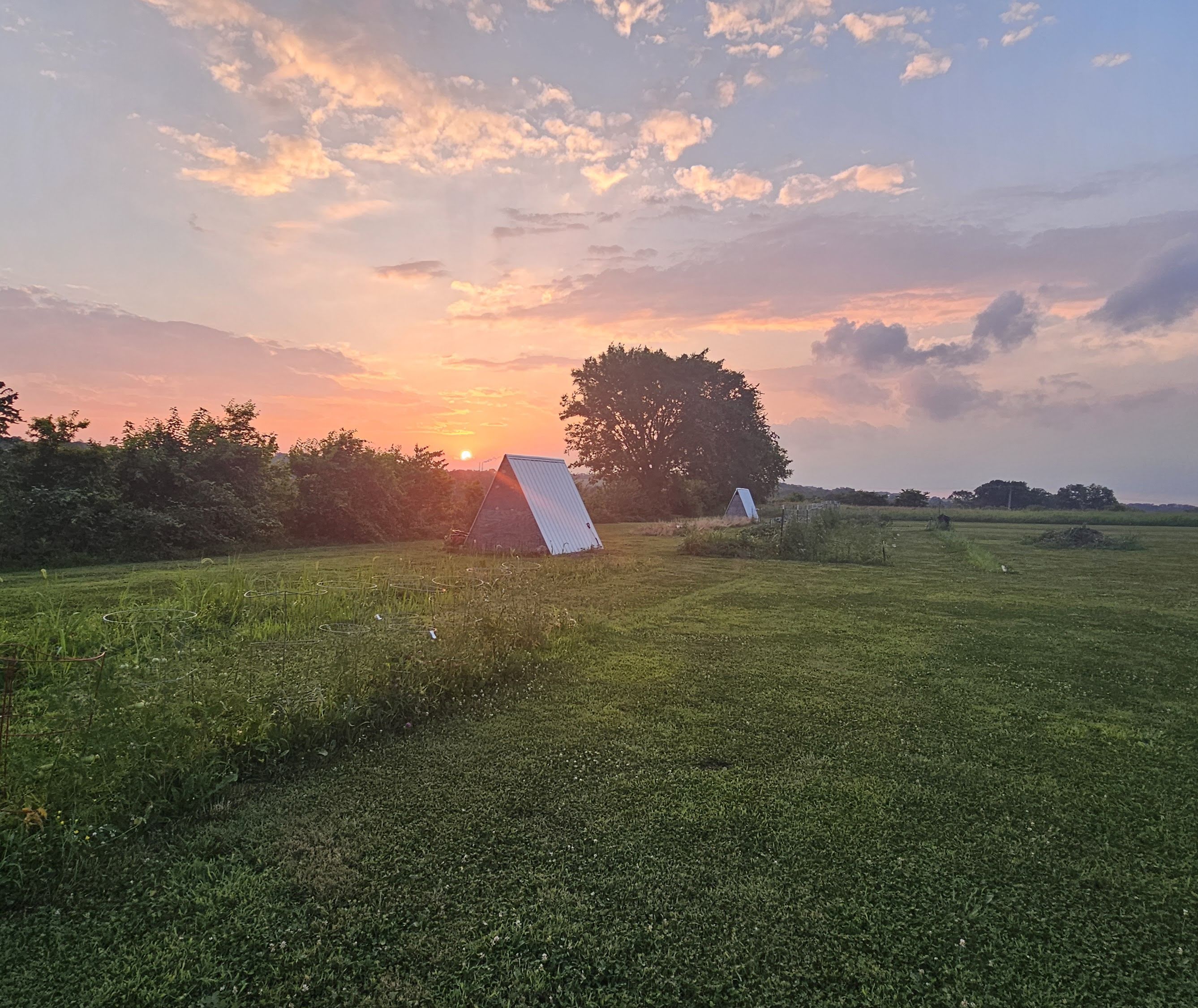 Kentucky farmstead at golden sunset with open green fields and farm structures