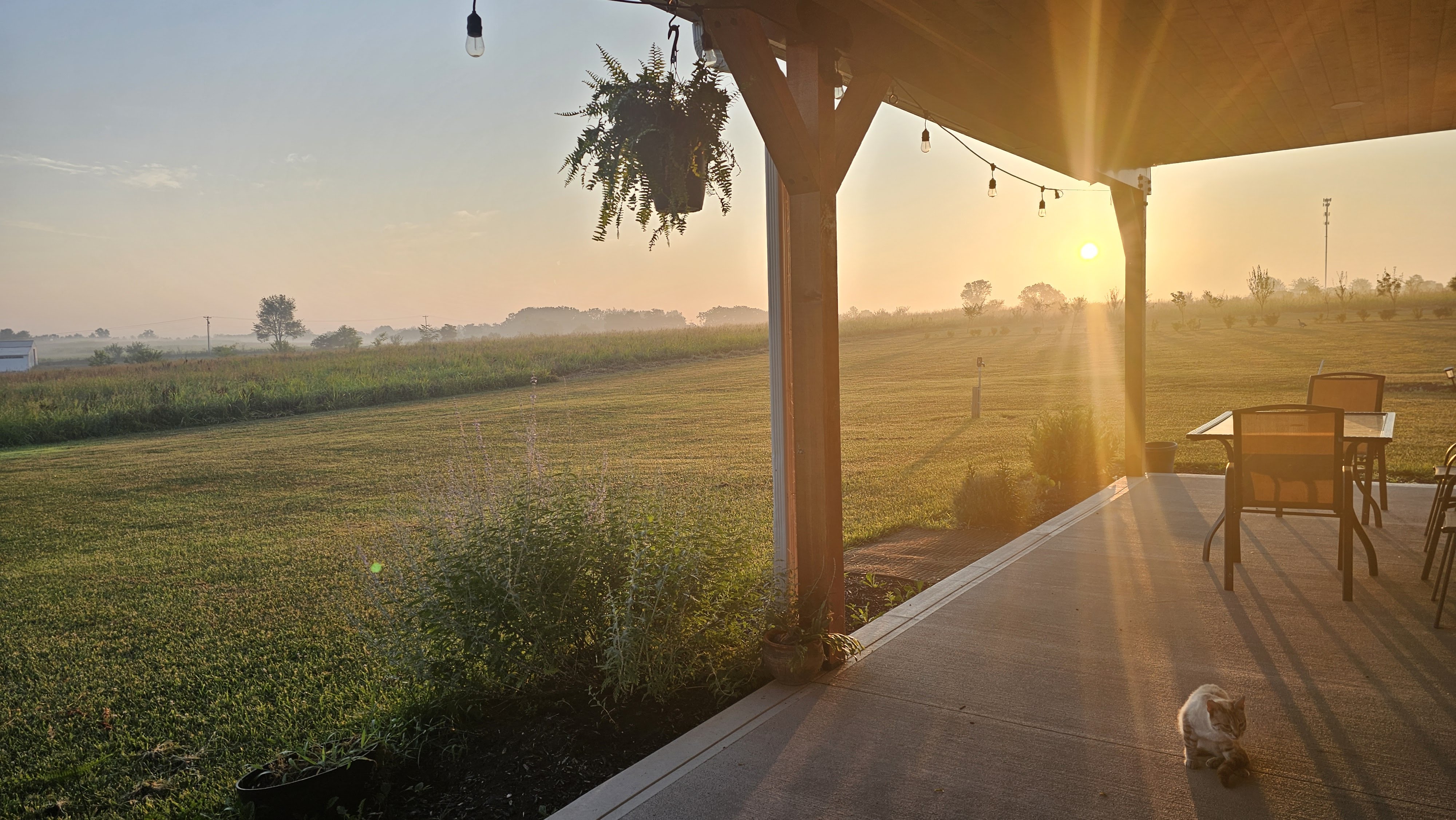 Golden morning light over Kentucky fields from a farmhouse porch