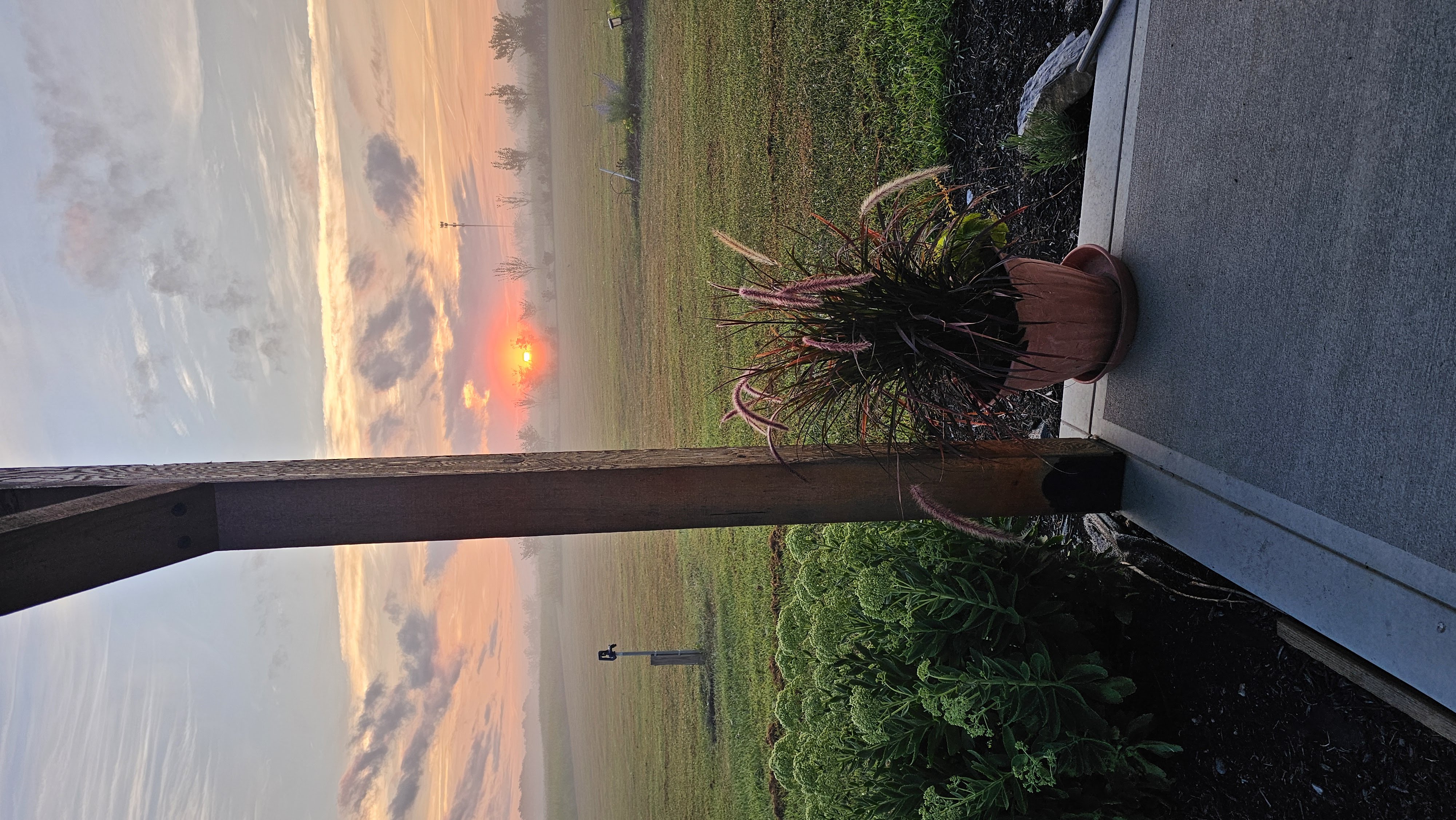 Toni Schafer with arms crossed, confident and approachable