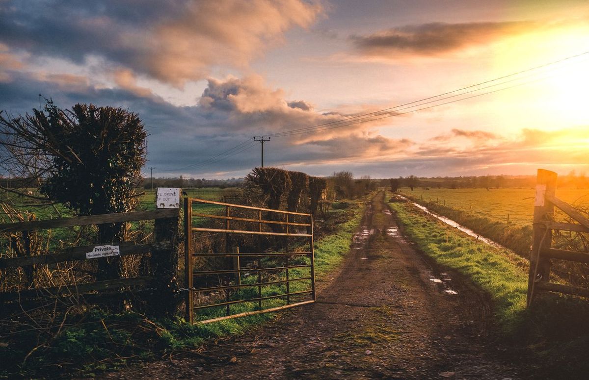 Rural Kentucky land parcel with farm gate and country driveway at sunset