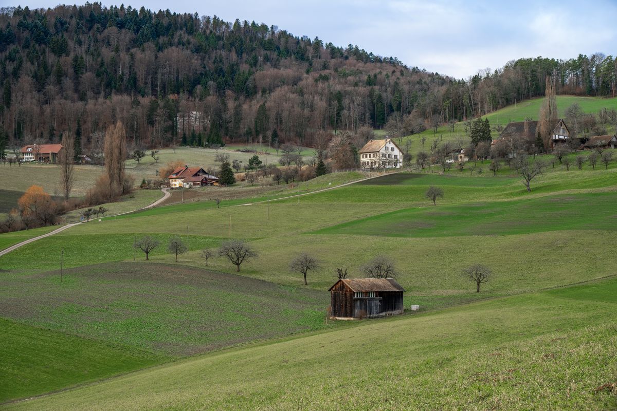 Central Kentucky farmhouse and pasture with rolling Bluegrass hills