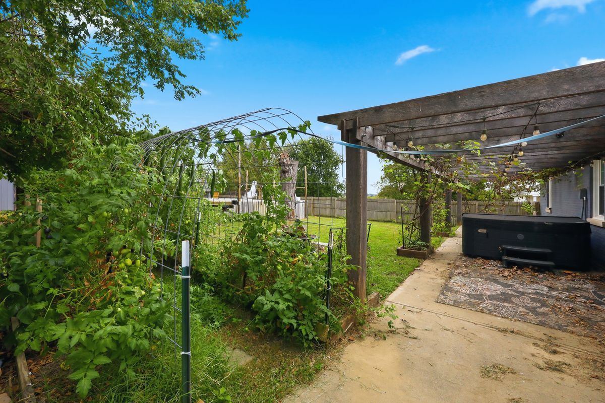 Garden with walk-through trellis and grapevines on pergola