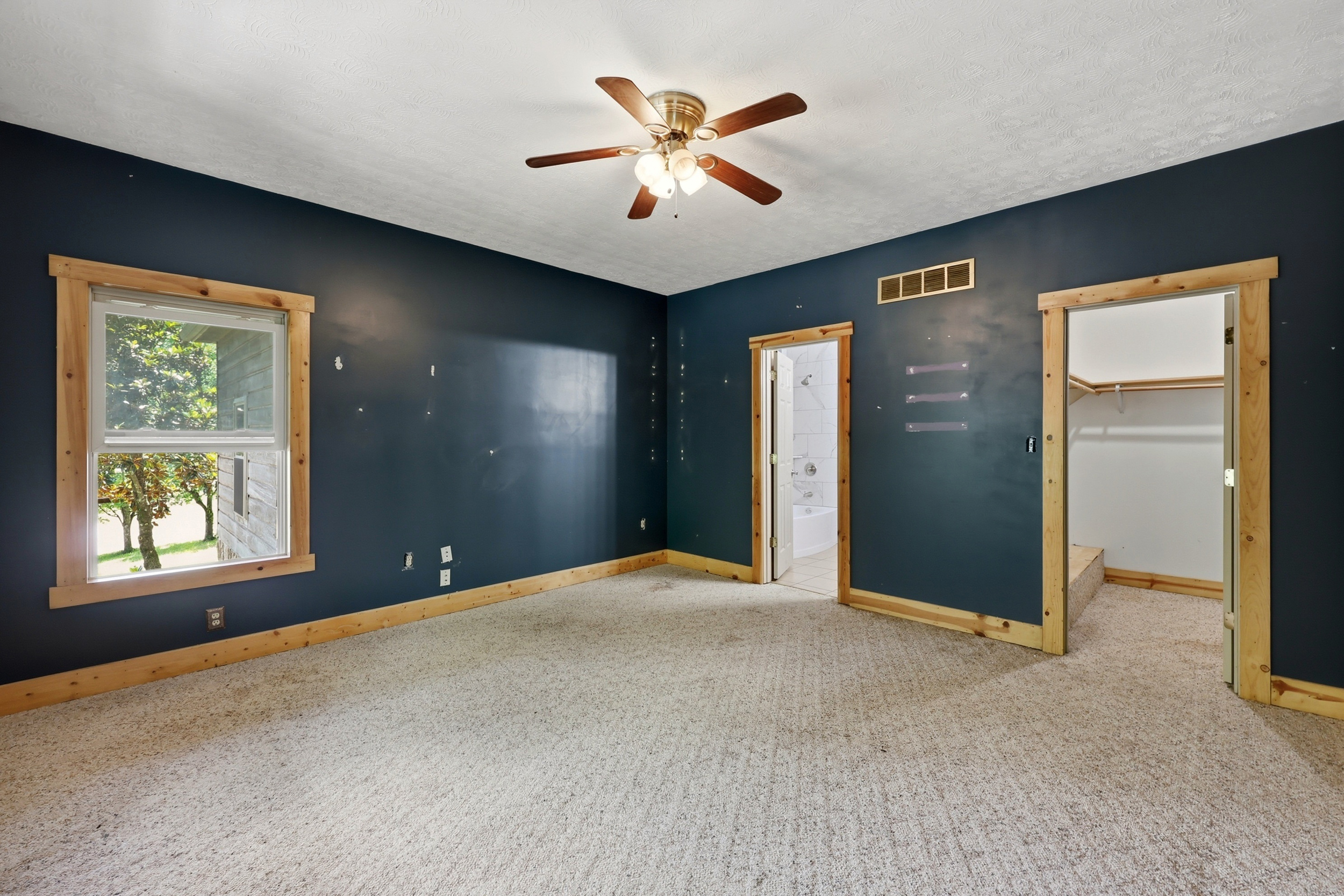 Primary bedroom with walk-in closet and bath access