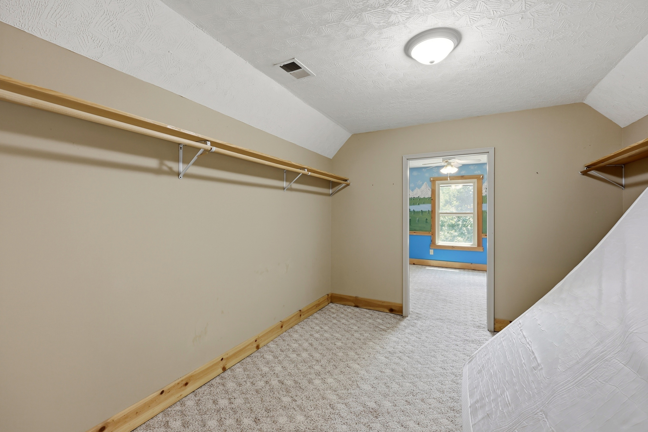 Large walk-in closet and storage