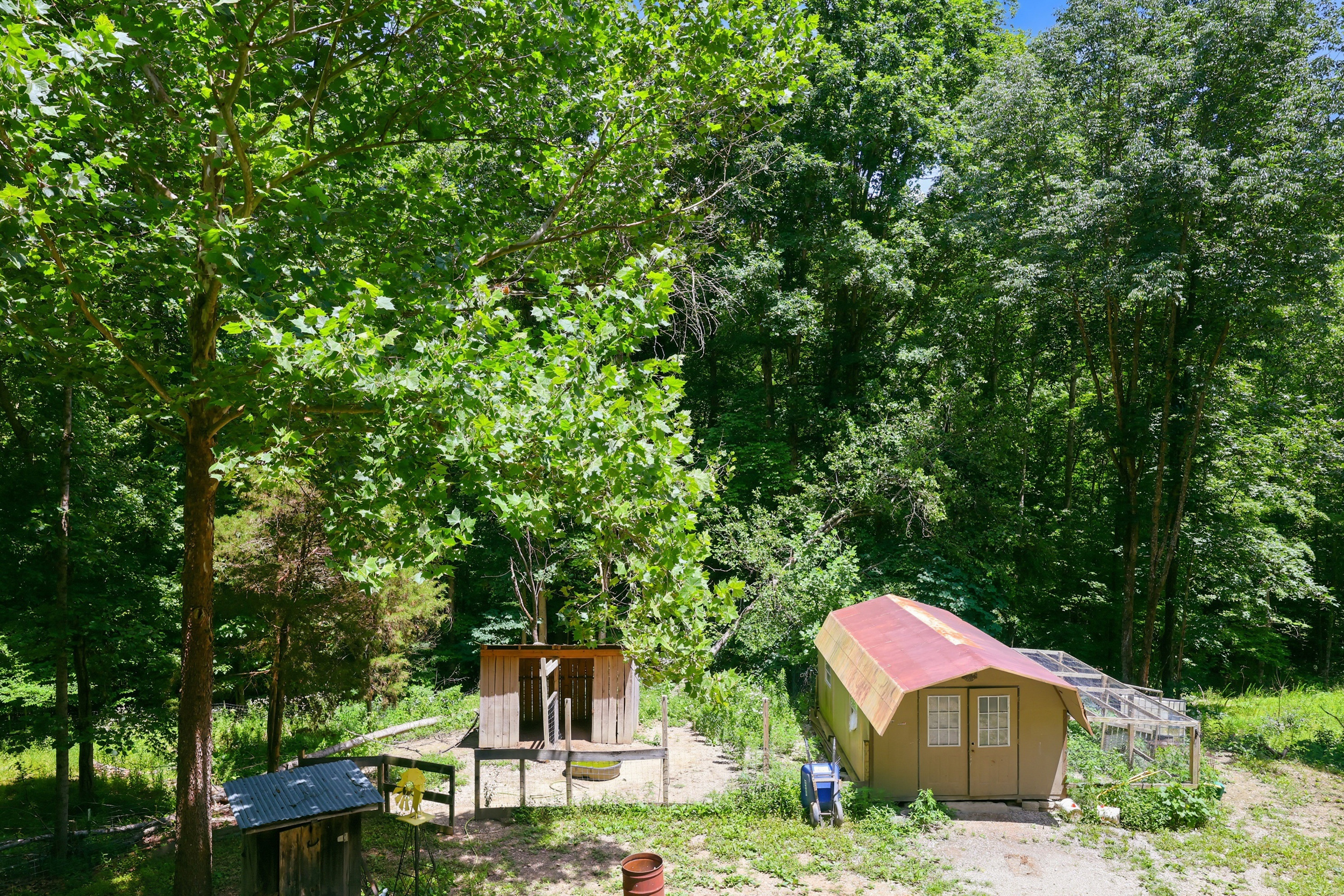 Chicken coop, greenhouse, and outbuildings