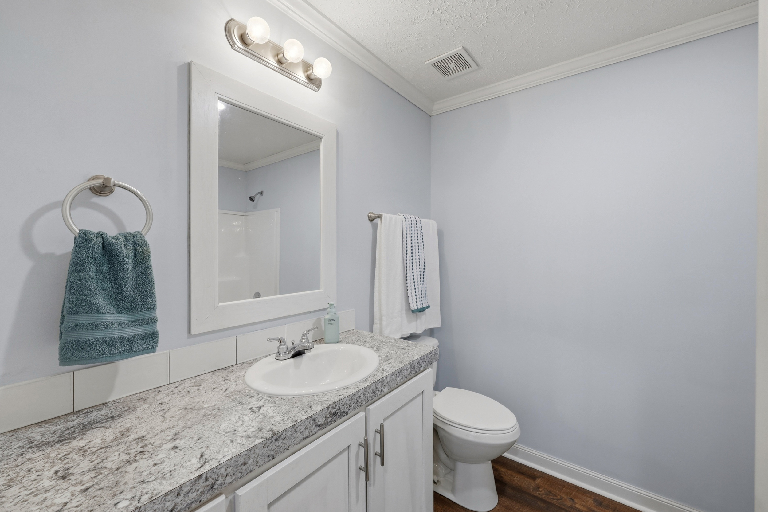 Guest bathroom with vanity