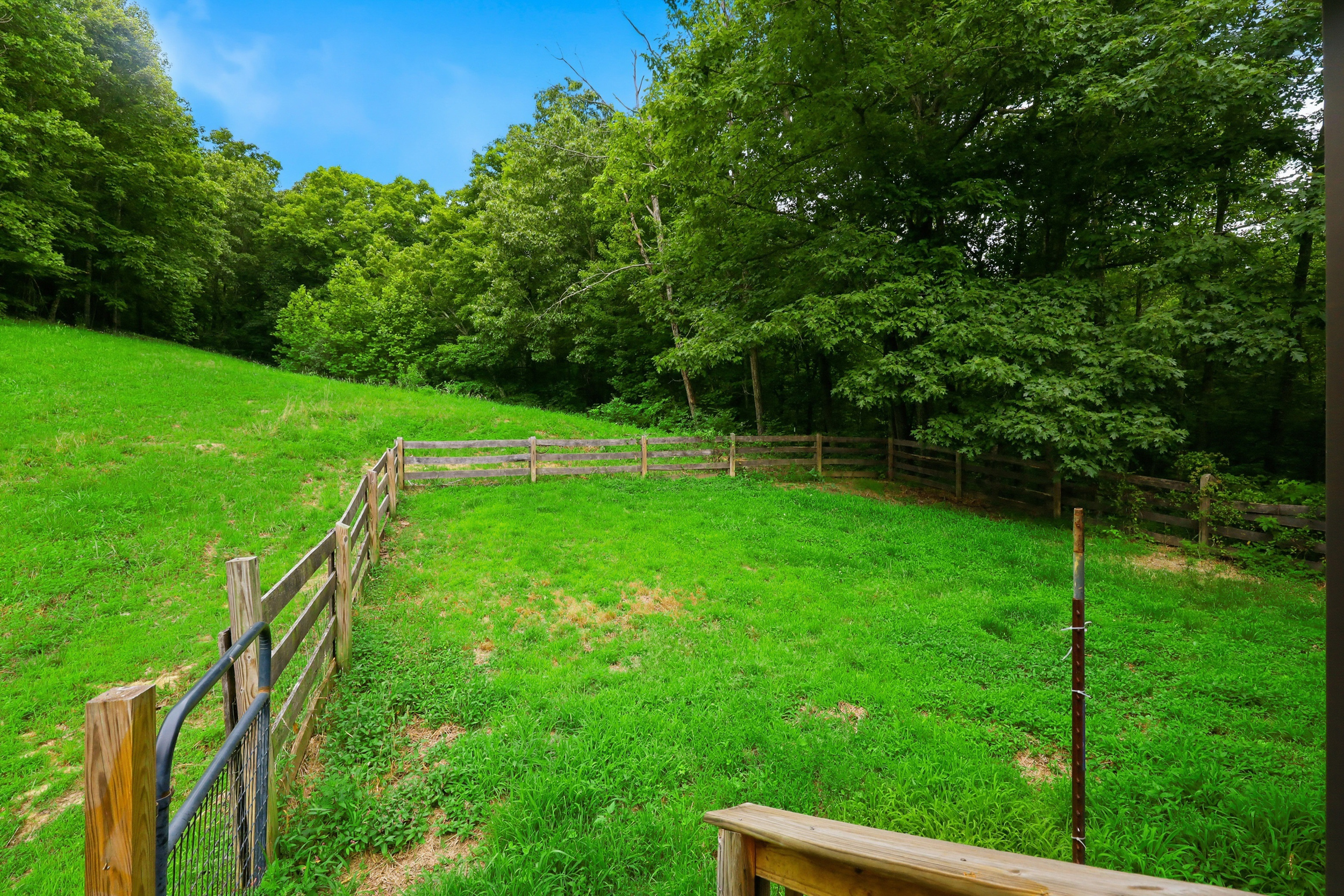 Fenced rolling pasture meeting hardwood timber