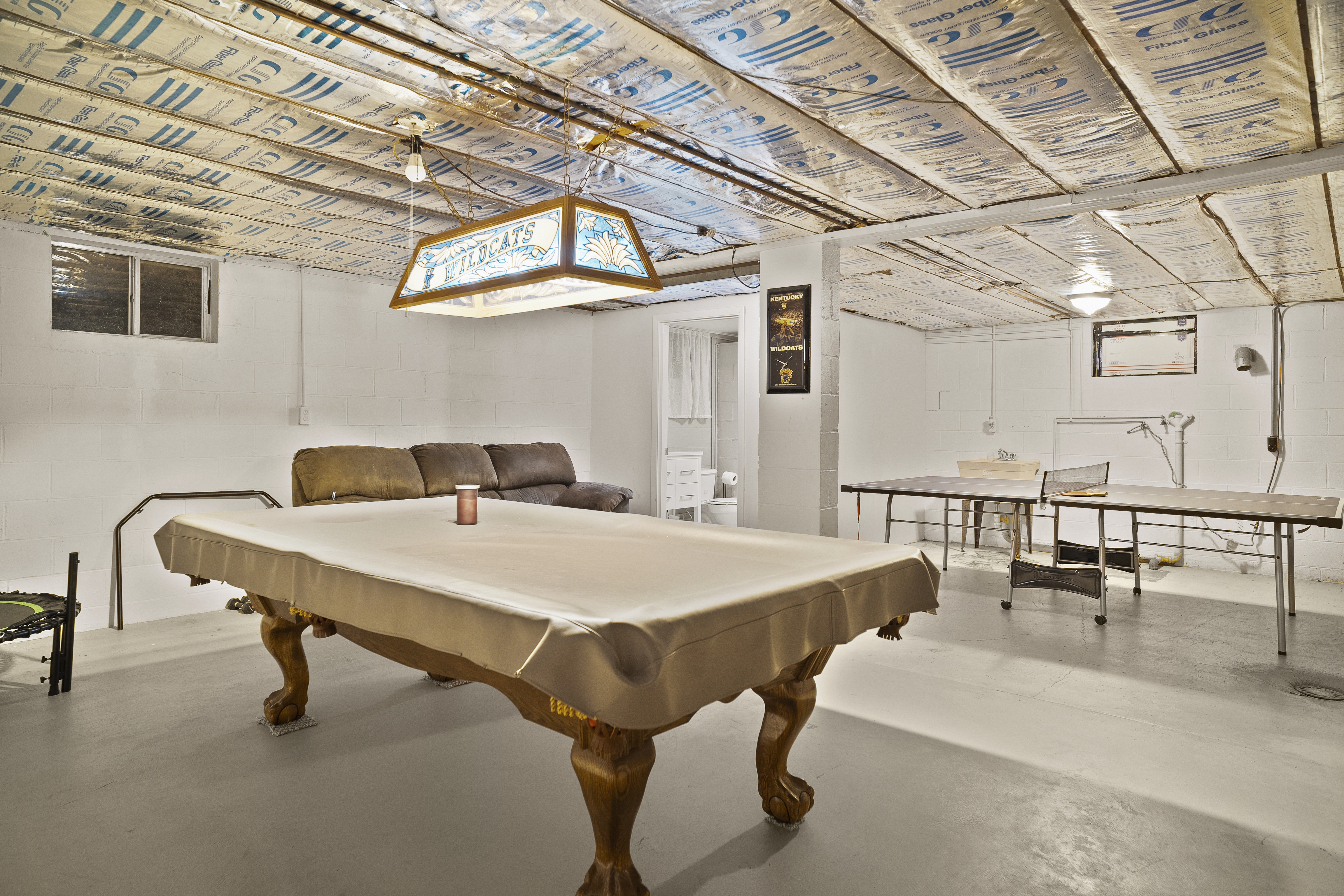 Basement rec room with pool table