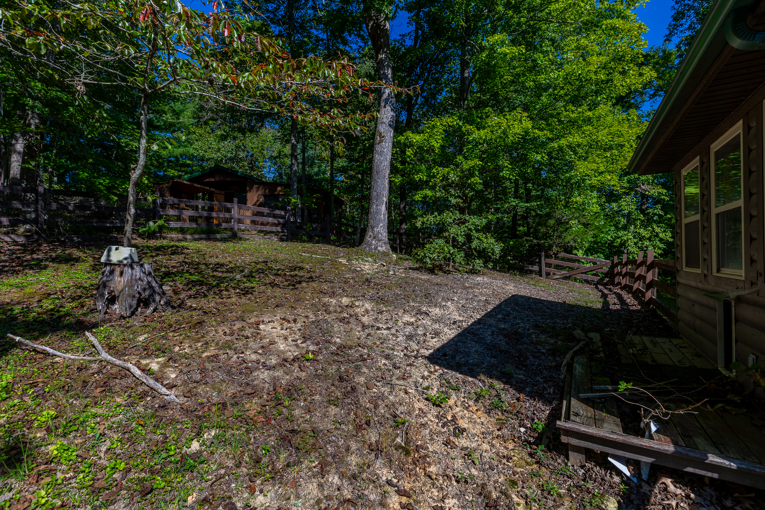 Backyard and grounds with trees